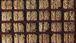 Cambridge Professor appeals for information on Portarlington expert on Maya hieroglyphics
