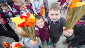 Laois primary schools invited to take part in Special Olympics Ireland fundraiser