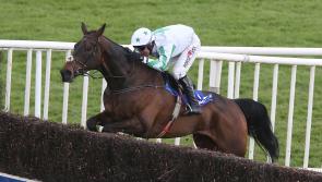 Laois-bred racehorse Our Duke tops the weights in tilt to do Irish  Grand National double 