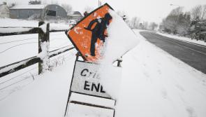 Storm Emma recovery operation continues in Laois with council crews at work from 4am Sunday