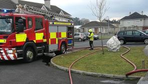 Cars set on fire at unofficial 'rally track' in Portlaoise