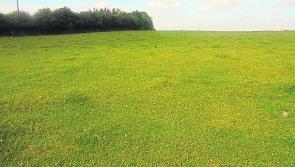 Laois land prices jump the highest in the country 