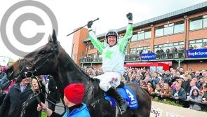 Our Duke can bring Cheltenham Gold Cup home to the heart of Laois