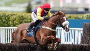 Cheltenham Gold Cup winner Native River and the Laois connection 