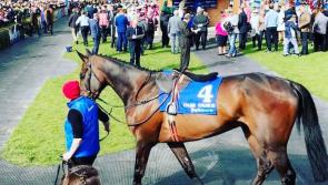 No decision yet on whether Our Duke will defend Irish Grand National title 