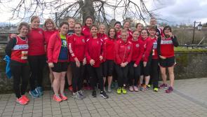 Laois Athletics News - here is all the latest news and pictures from the clubs in Laois