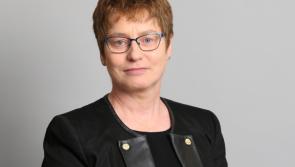 Boss of Mental Health Commission to take up Inspector of Prisons role