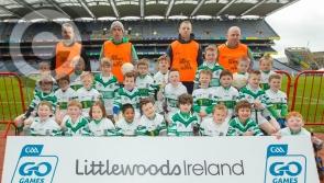 Croke Park dream comes true for Laois children at GAA HQ on Go Games days