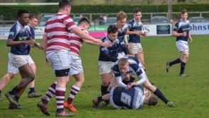 Portlaoise Rugby Club has finalised expansion plans