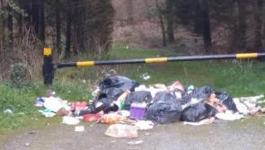 266 tonnes of illegal waste collected in Laois this year