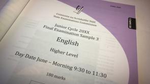 Teen sues over refusal to give her assistance during junior cert exams