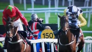 Leinster Express owner's horse Next  Destination wins Grade 1 hurdle at Punchestown 