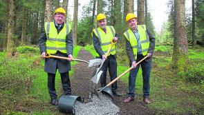 Laois Offaly mountain bike trail in Slieve Blooms gets major boost