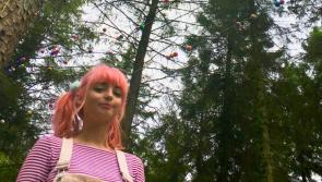 Creatives called to apply for Electric Picnic's Artist in Residence programme