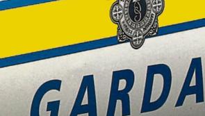 Suspected brothels searched  in human trafficking investigation 