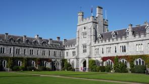 Going to college? New intervention programme to help students tackle sexual harassment