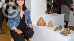 Cream of creativity from Abbeyleix FEC on display in Portlaoise