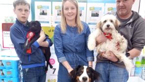 Search is on for Petmania's 'Puppy of the Year' competition