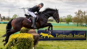 Laois riders to compete at  Tattersalls International Horse Trials