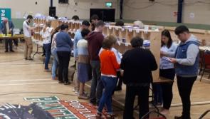 Laois and Offaly voters set for big change at European Elections 