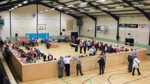 Politicians must face up to outcome of abortion vote says Laois Sinn Féin TD