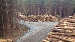 Laois Offaly Minister defends action after Sinn F&eacute;in TD says Laois sawmill business is in crisis and jobs are on the line