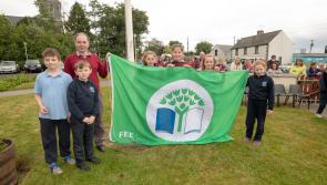 Laois primary school Tobar an Léinn raises its latest Green Schools Flag