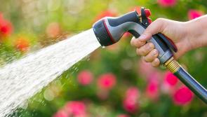 Not enough rain yet for big towns in Laois still at drought risk