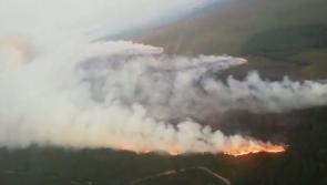 Praise for Laois fire crews who battled Slieve Bloom Mountains fire