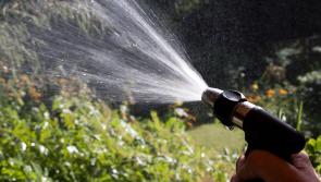 Hosepipe bans loom as Irish Water confirms water supplies schemes are in 'drought' trouble