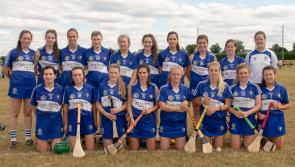 Laois camogie team back on track after draw with Carlow
