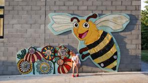 Laois project a great success and highlights the plight of Bees