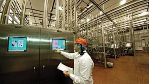 Jobs boost as Laois set to get nearly 80 new jobs at new €130 million Portlaoise cheese plant