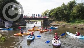 Laois community wants wood not concrete