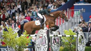 High Court case withdrawn over Dublin Horse Show