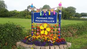 Mountmellick, Laois wakes up to colourful yarnbombing