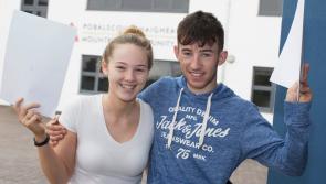 Mountrath Community School students score a double top marks