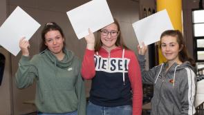 Feeder school league tables show 70% of Laois school students made it to third level 