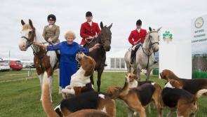 Ticket information and opening hours for the National Ploughing Championships
