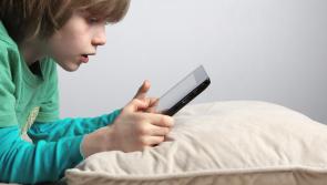 Minister Martin presses ahead with 'landmark' online safety law