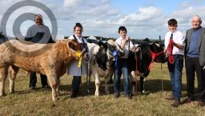 IN PICTURES - Ploughing how are ya - there was a great day at the Clonaslee Show in Laois