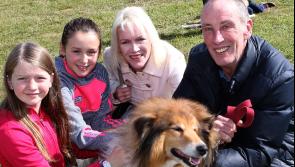 All roads lead to Laois for the Clonaslee Show