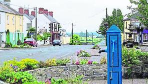 Laois road's broken fence left for farmer to fix