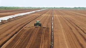 1,000 job losses to be confirmed at Bord na Móna 