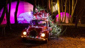 WIN: A family pass for the fabulous Castlecomer Christmas Experience