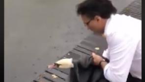 WATCH - Laois 'Supervet' comes to the rescue in Dublin