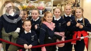 Tamagotchi as Gaeilge features in the Laois Leaves Festival  in pictures