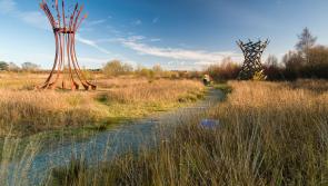 Midlands bog park officially  'the best place in Ireland'