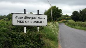 Laois community to celebrate its heritage with new book