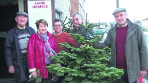 Lions Club Christmas Tree sale for Laois Hospice 
